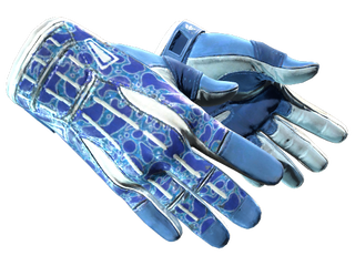 Sport Gloves | Amphibious