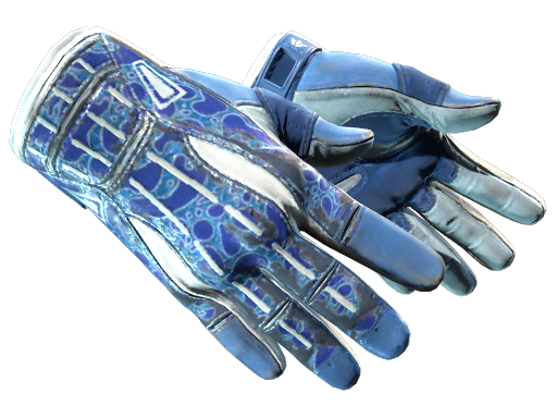 Sport Gloves | Amphibious