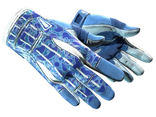 Sport Gloves | Amphibious
