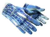 Artwork for [MW] ★ Sport Gloves | Amphibious