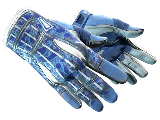 Sport Gloves | Amphibious