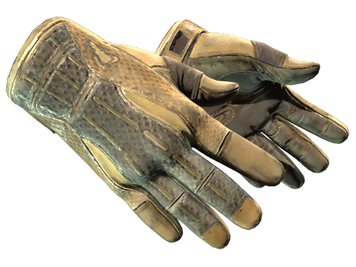 Sport Gloves | Arid