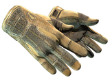Artwork for [BS] ★ Sport Gloves | Arid