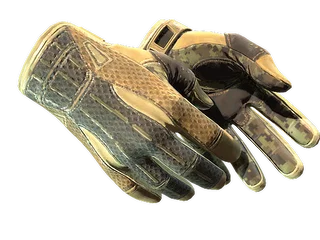Sport Gloves | Arid