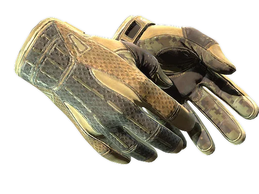 Sport Gloves | Arid