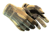 Artwork for [FT] ★ Sport Gloves | Arid