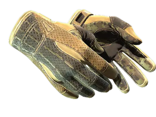 Sport Gloves | Arid