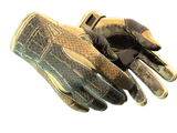 Artwork for [MW] ★ Sport Gloves | Arid