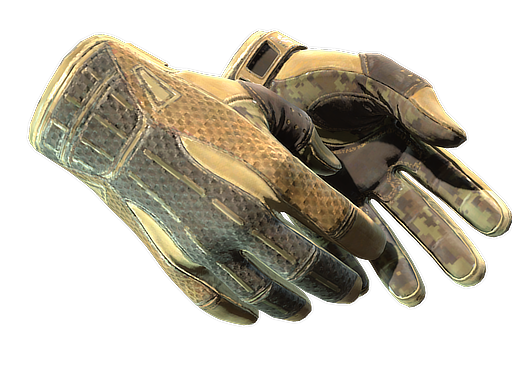 Sport Gloves | Arid