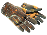 Artwork for [WW] ★ Sport Gloves | Big Game