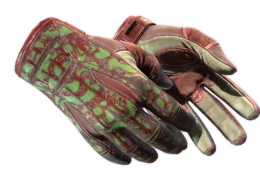 Sport Gloves | Bronze Morph