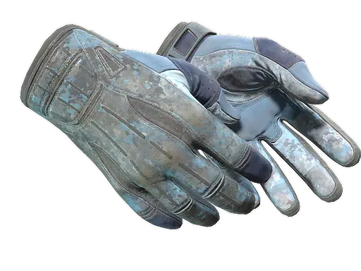 Sport Gloves | Frosty