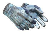 Artwork for [FT] ★ Sport Gloves | Frosty