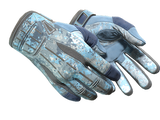 Artwork for [MW] ★ Sport Gloves | Frosty