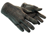 Artwork for [MW] ★ Sport Gloves | Nocts