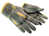 Artwork for [BS] ★ Sport Gloves | Omega