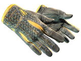 Artwork for [WW] ★ Sport Gloves | Omega