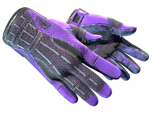 Sport Gloves | Pandora's Box