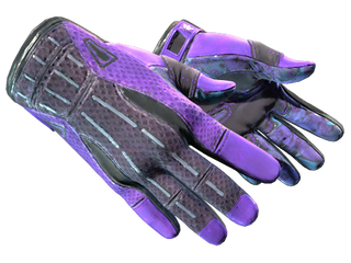 Sport Gloves | Pandora's Box