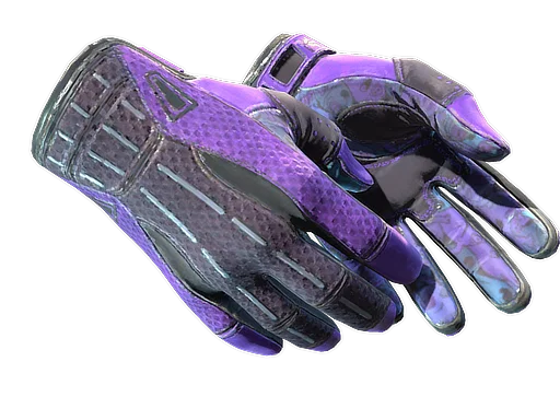 Sport Gloves | Pandora's Box