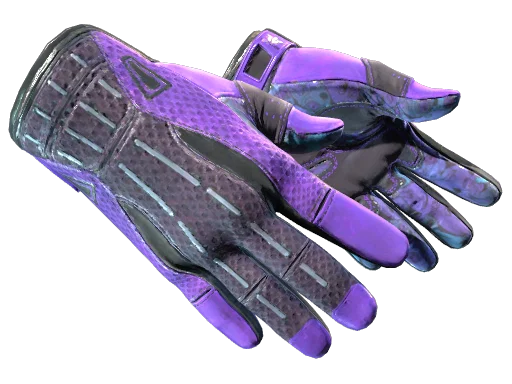 Sport Gloves | Pandora's Box