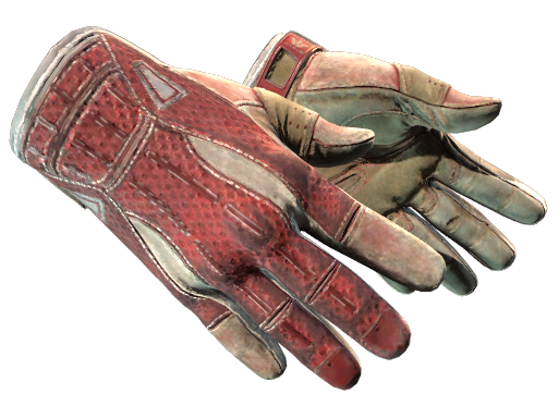 Sport Gloves | Slingshot