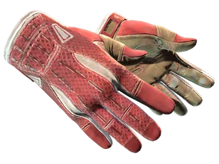 Sport Gloves | Slingshot