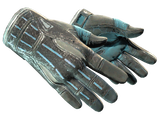 Artwork for [BS] ★ Sport Gloves | Superconductor