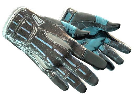 Sport Gloves | Superconductor