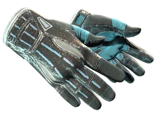 Sport Gloves | Superconductor