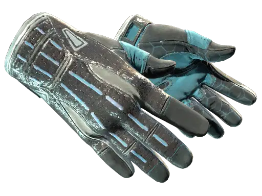 Sport Gloves | Superconductor