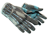 Artwork for [WW] ★ Sport Gloves | Superconductor