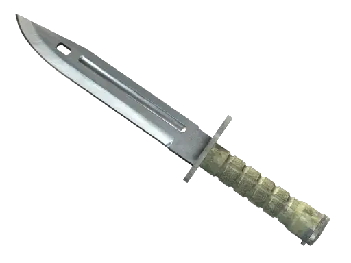 Bayonet