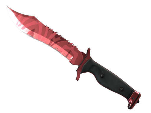 Bowie Knife | Slaughter