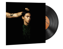 StatTrak™ Music Kit | PVRIS, Evergreen