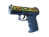 Artwork for [MW] ST P2000 | Corticera