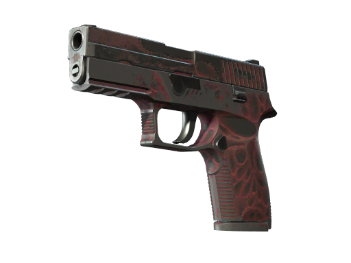 P250 | Contaminant
