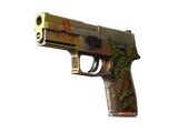 Artwork for [FT] ST P250 | Inferno
