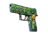 Artwork for [MW] ST P250 | See Ya Later