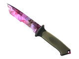Artwork for [FN] ST Ursus Knife | Doppler - Phase 2