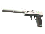 Artwork for [FT] ST USP-S | Printstream