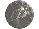 Artwork for Sticker | 9z Team (Foil) | Cologne 2026