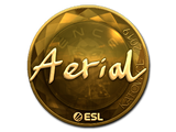 Sticker | Aerial (Gold) | Katowice 2019