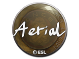 Artwork for Sticker | Aerial | Katowice 2019