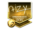 Sticker | aizy (Gold) | Cluj-Napoca 2015