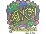 Artwork for Sticker | apEX (Embroidered) | Budapest 2025