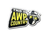 Artwork for Sticker | Awp Country