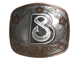 Artwork for Sticker | B8 (Foil) | Austin 2025