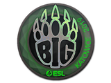 Artwork for Sticker | BIG (Holo) | Katowice 2019