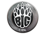 Artwork for Sticker | BIG | Katowice 2019